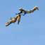 Homem no ar, com céu azul ao fundo, segurando os guidões de uma motocicleta 